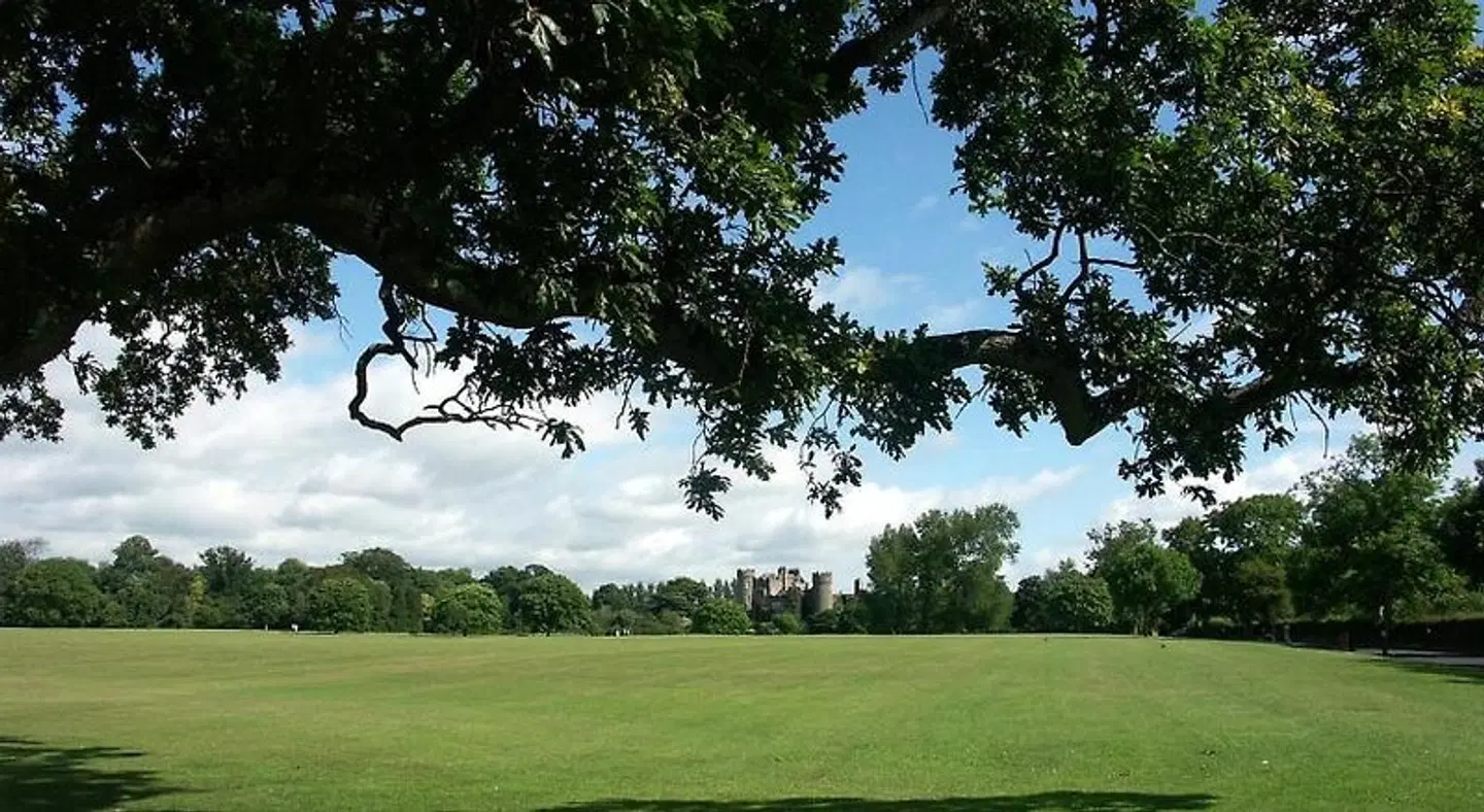 No 9 Rathgar LANDSCAPE