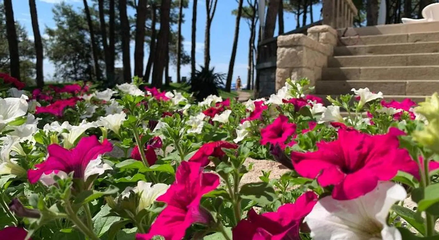 Beau Rivage Pineta Aussenansicht