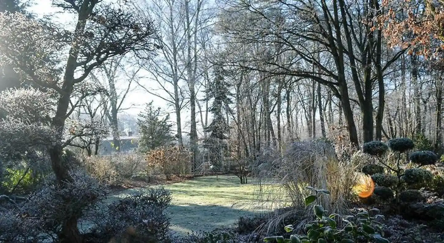 Sonnenhotel Amtsheide Landschaft