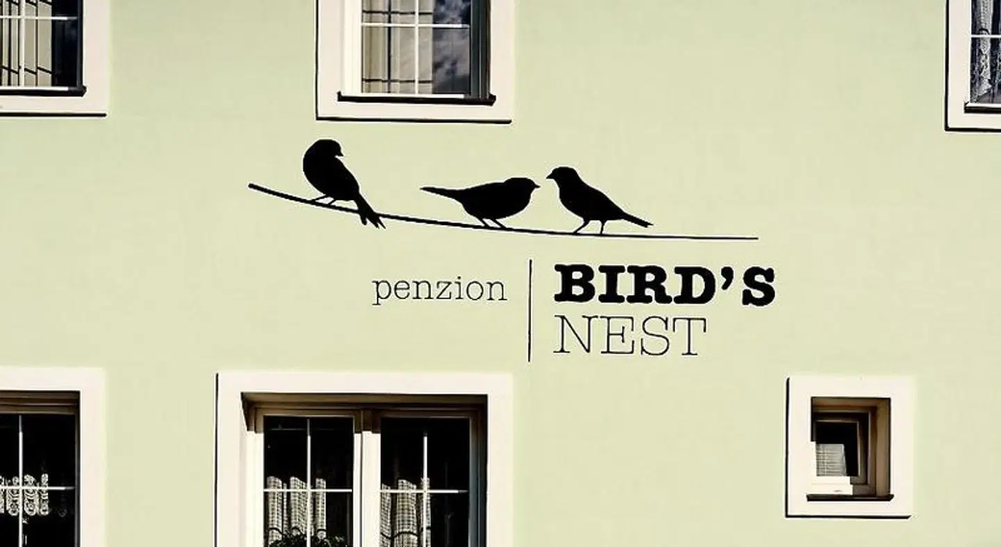 Bird's Nest Tiere