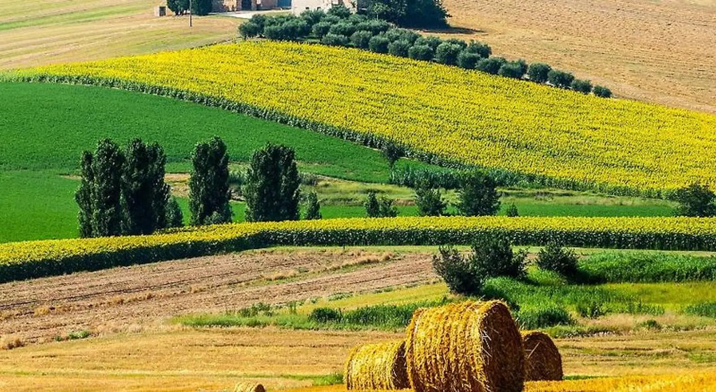 B&B Villa Paradiso LANDSCAPE