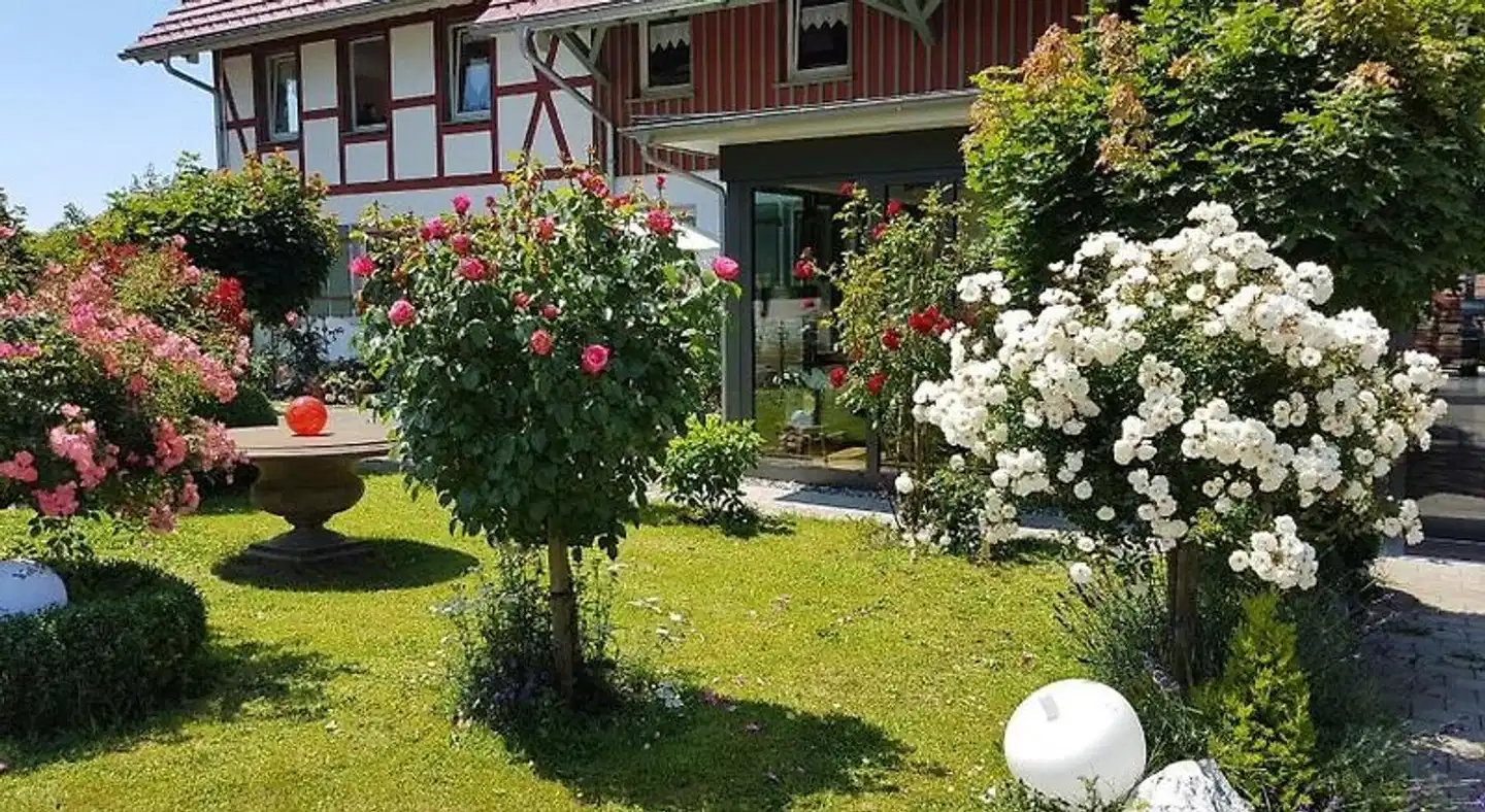 Landgut Apfelrose Garten