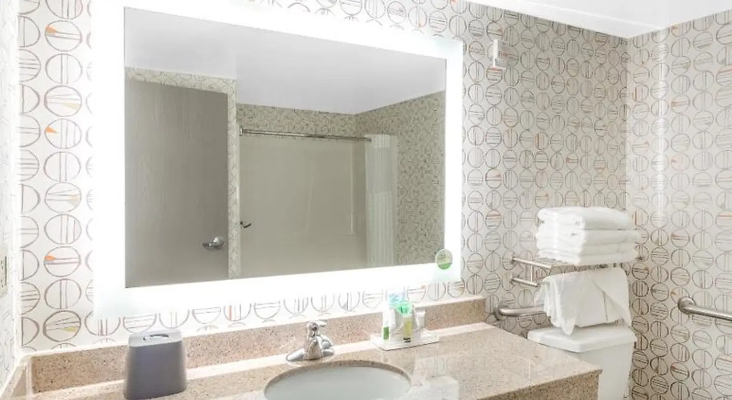 Holiday Inn Rockford (I-90&Rt 20/State St) by IHG Badezimmer