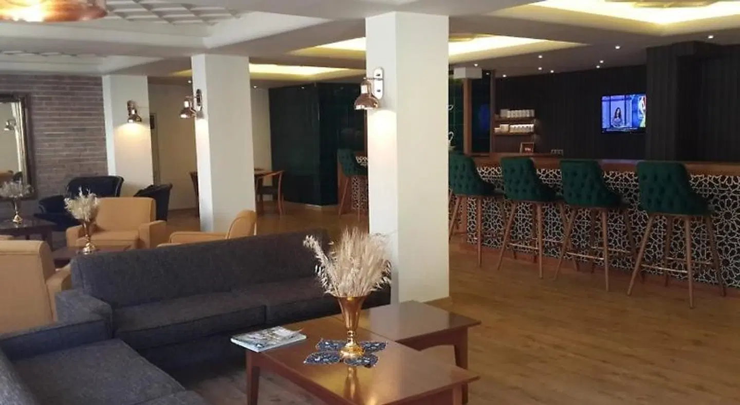 Boyuguzel Termal Hotel LOUNGE_LOBBY