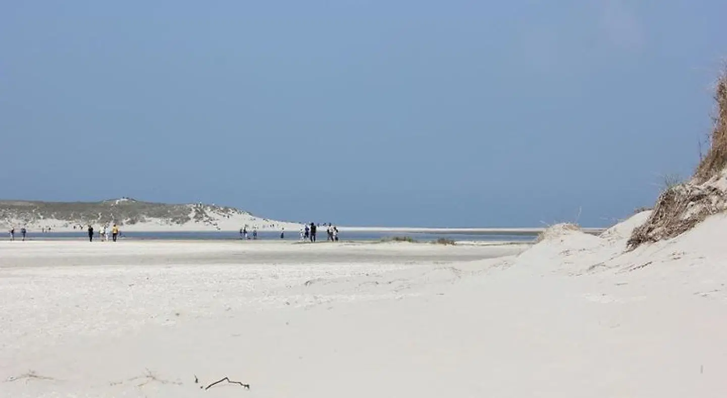 Bluesheep-texel Strand