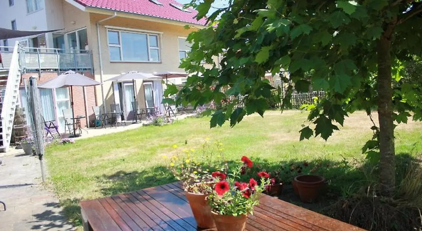 Bluesheep-texel EXTERIOR