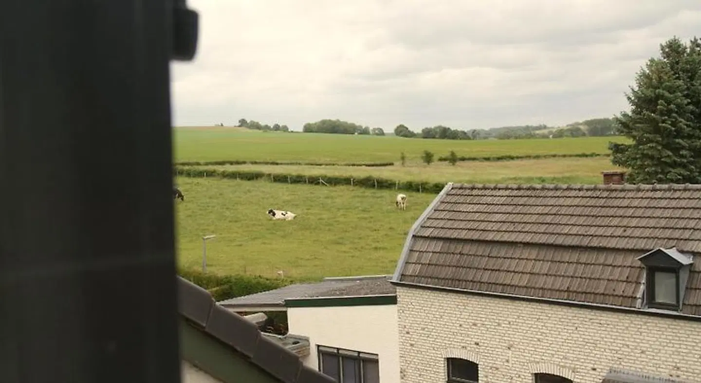 In den Roden Leeuw van Limburg Terrasse
