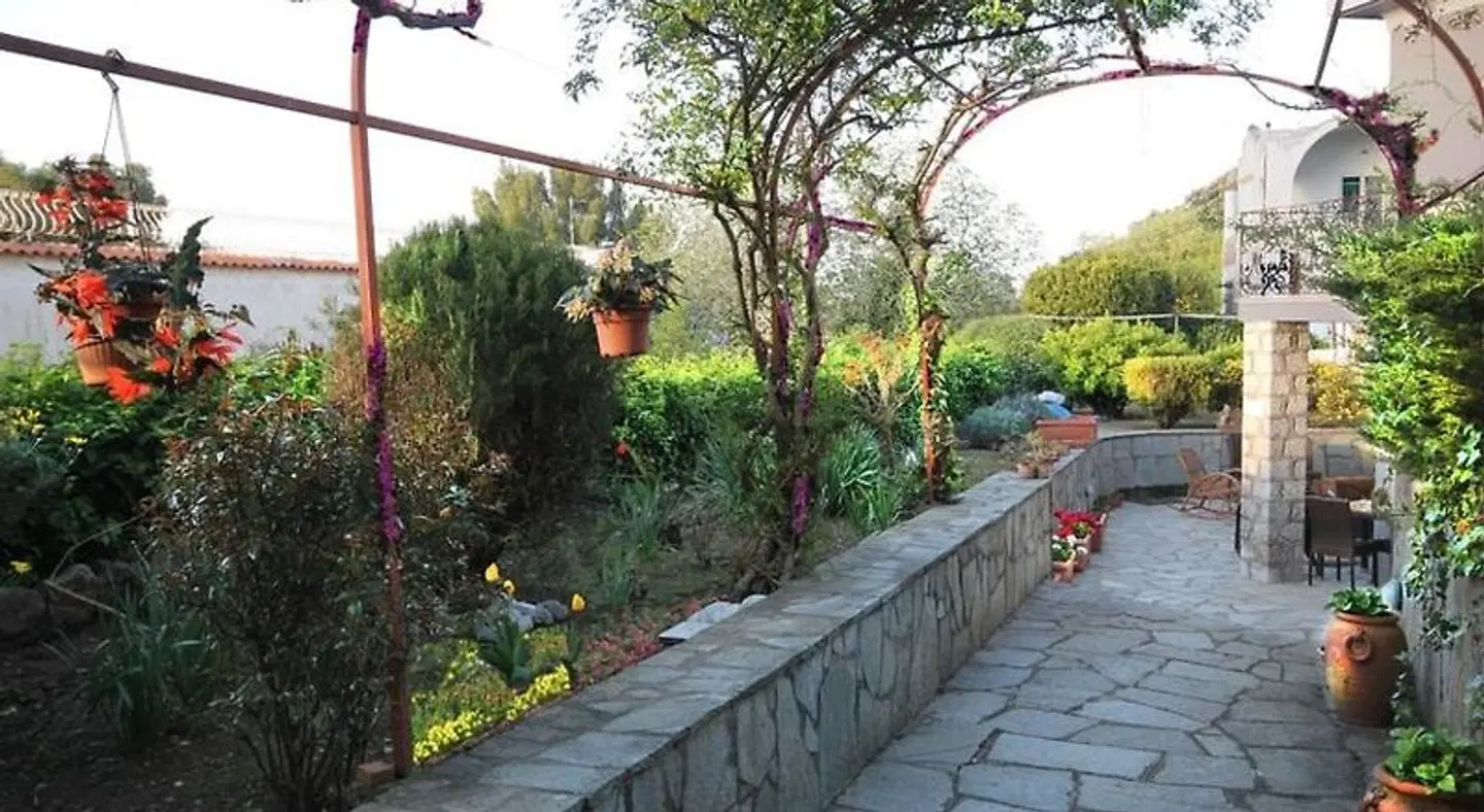 Cavalluccio Marino Garten
