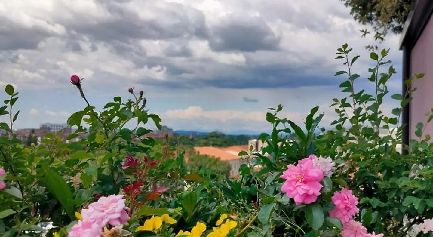 Nuova Opera Rooms Garten