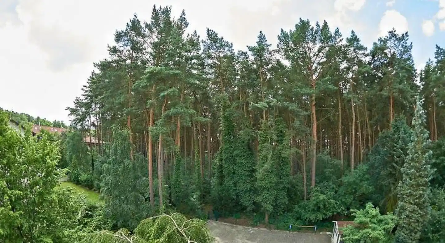 Haus Elfi Garten