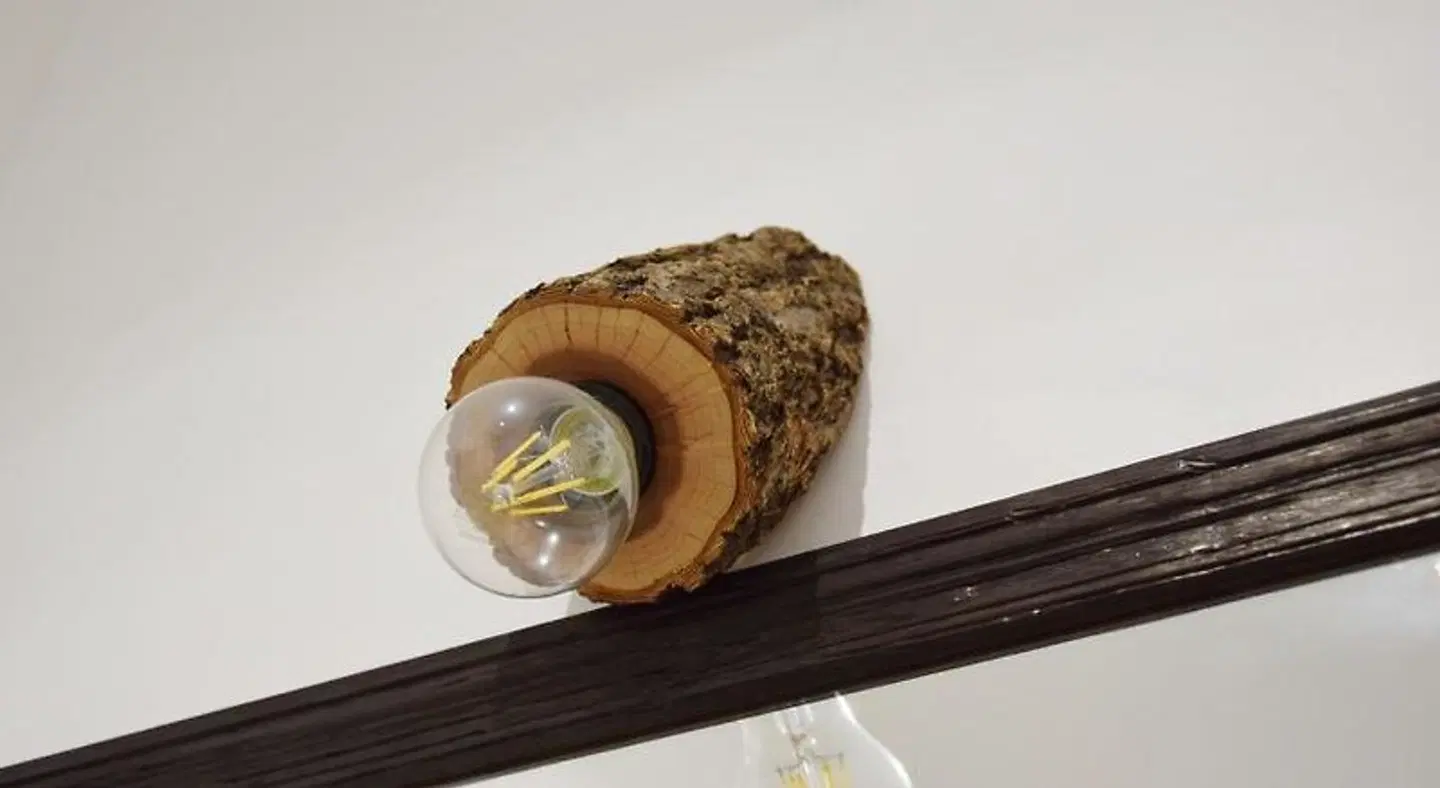 Damiva Tiere