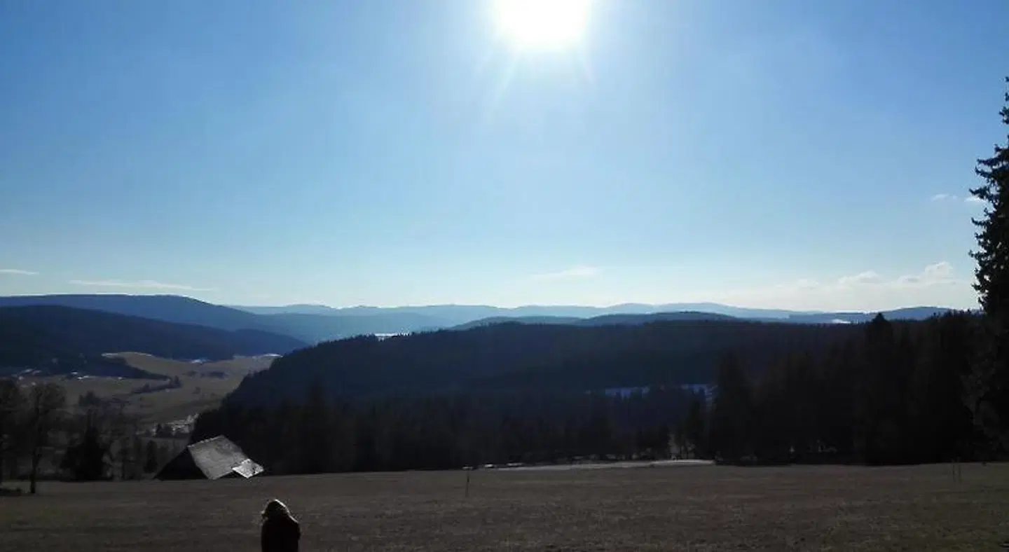 Pension Forsthaus Täle LANDSCAPE