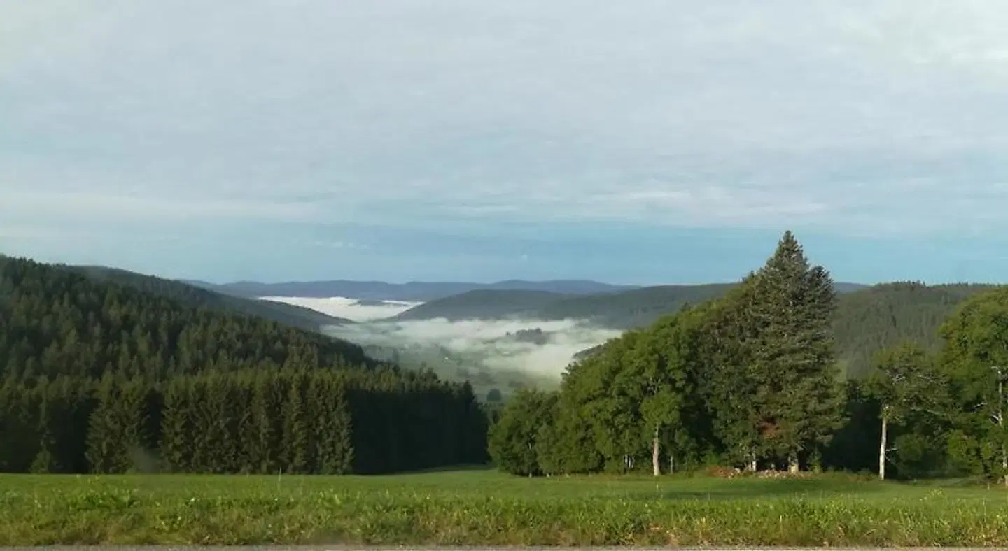 Schwarzwaldgasthaus Salenhof LANDSCAPE