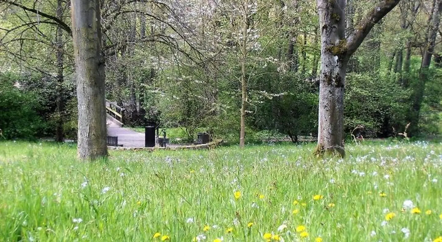 Schadde Garten