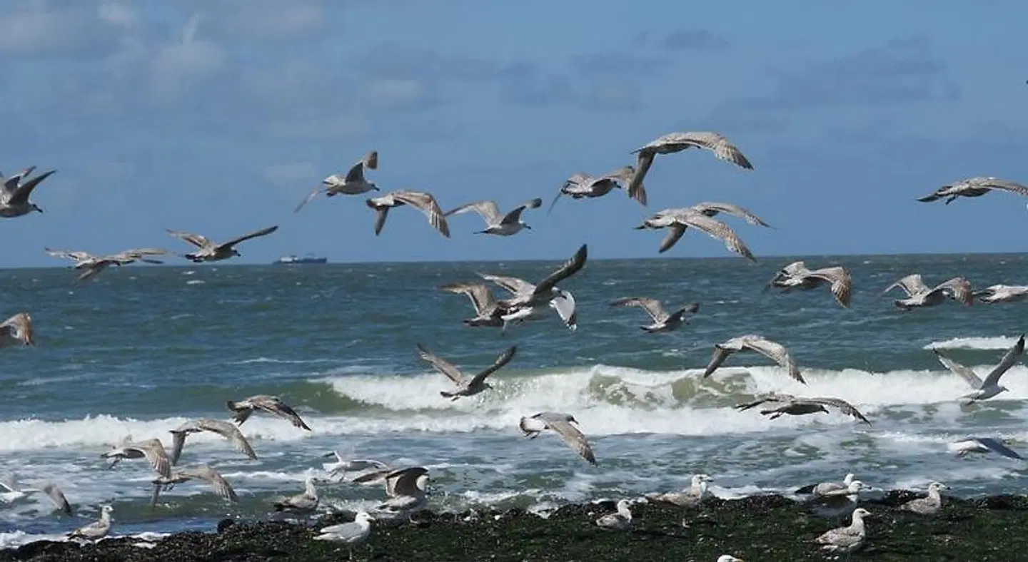 Bed & Breakfast aan Zee Tiere