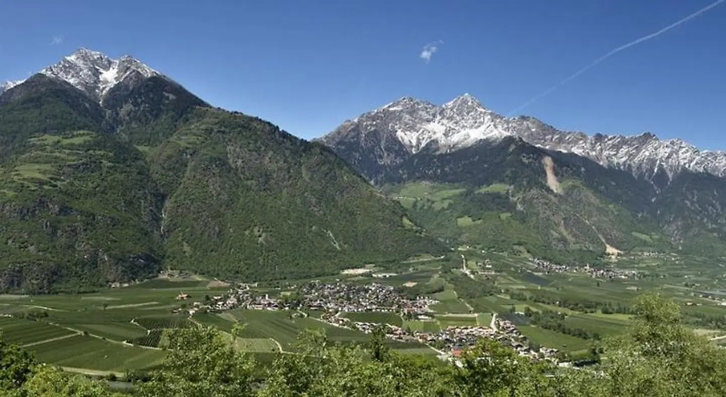 Biohof Niedereben LANDSCAPE