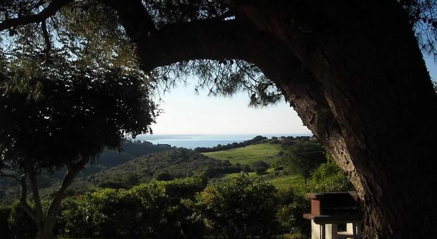 Bed & Breakfast La Volpe e L'Uva Garten