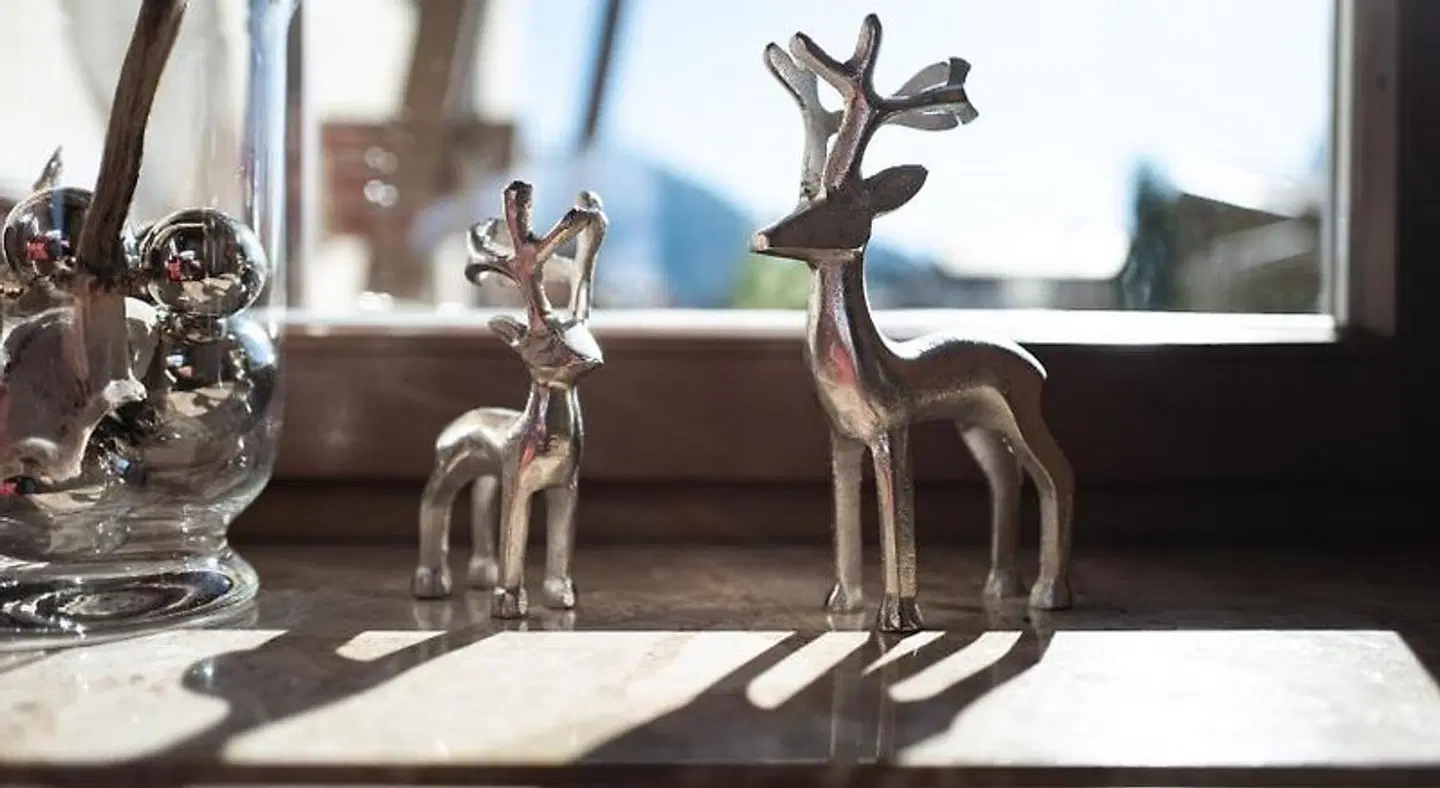 Gästehaus Stotter Tiere