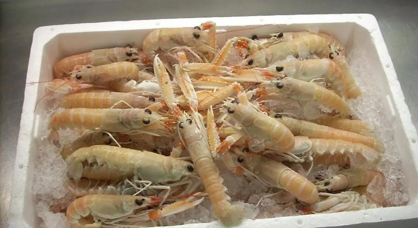 Ai Campi Di Marcello Hotel Tiere
