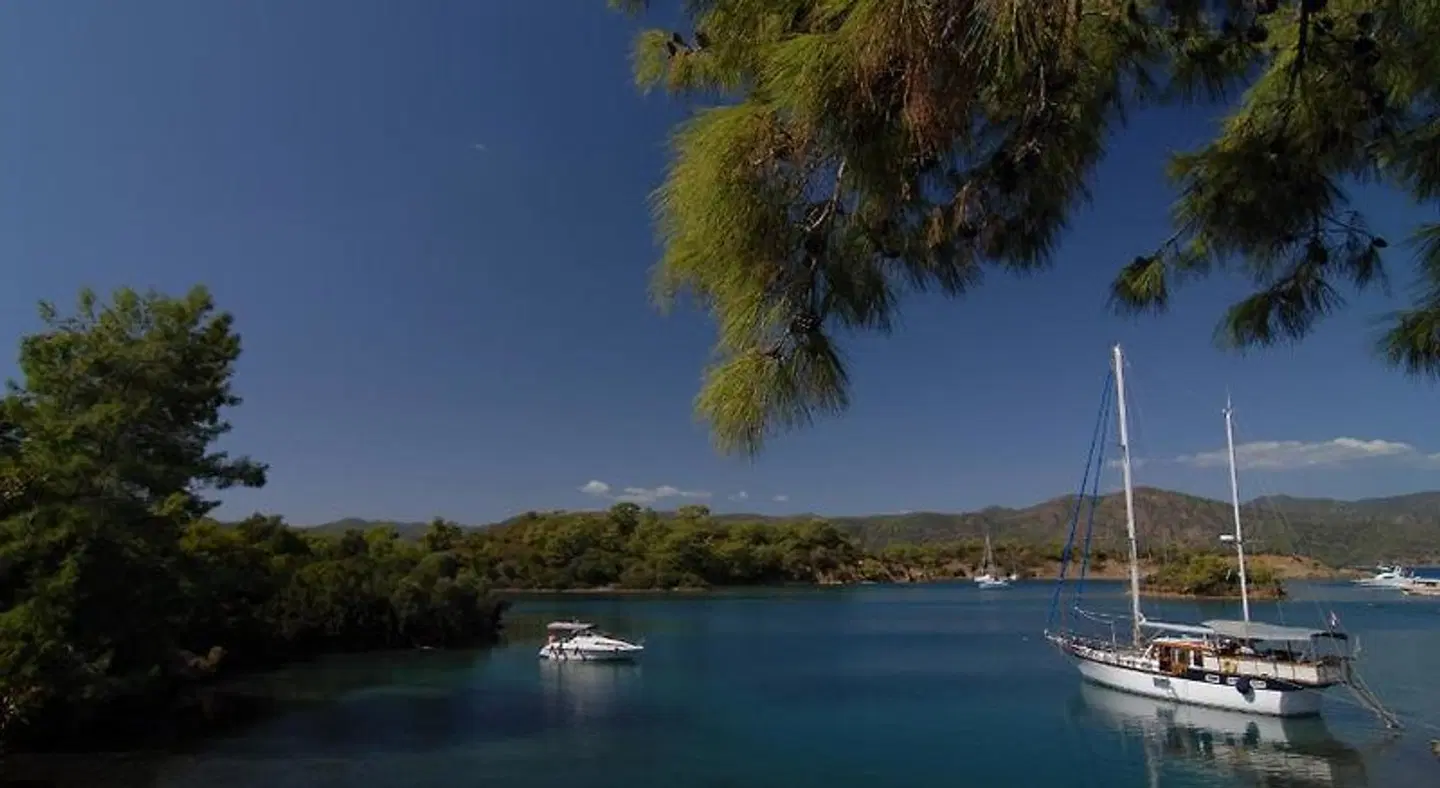 Kabak Avalon Bungalows LANDSCAPE