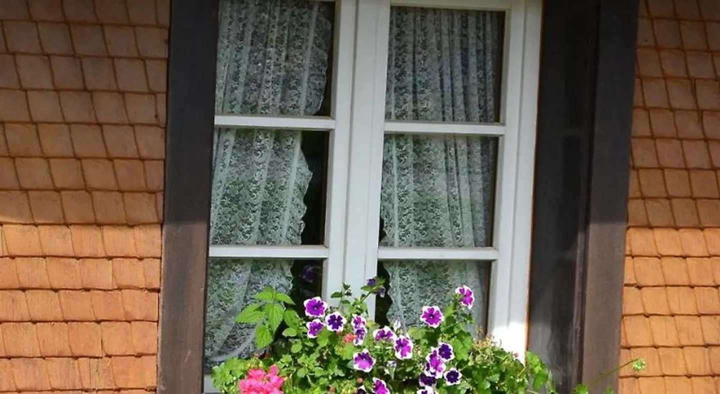 Hotel Zum Löwen - Unteres Wirtshaus Terrasse