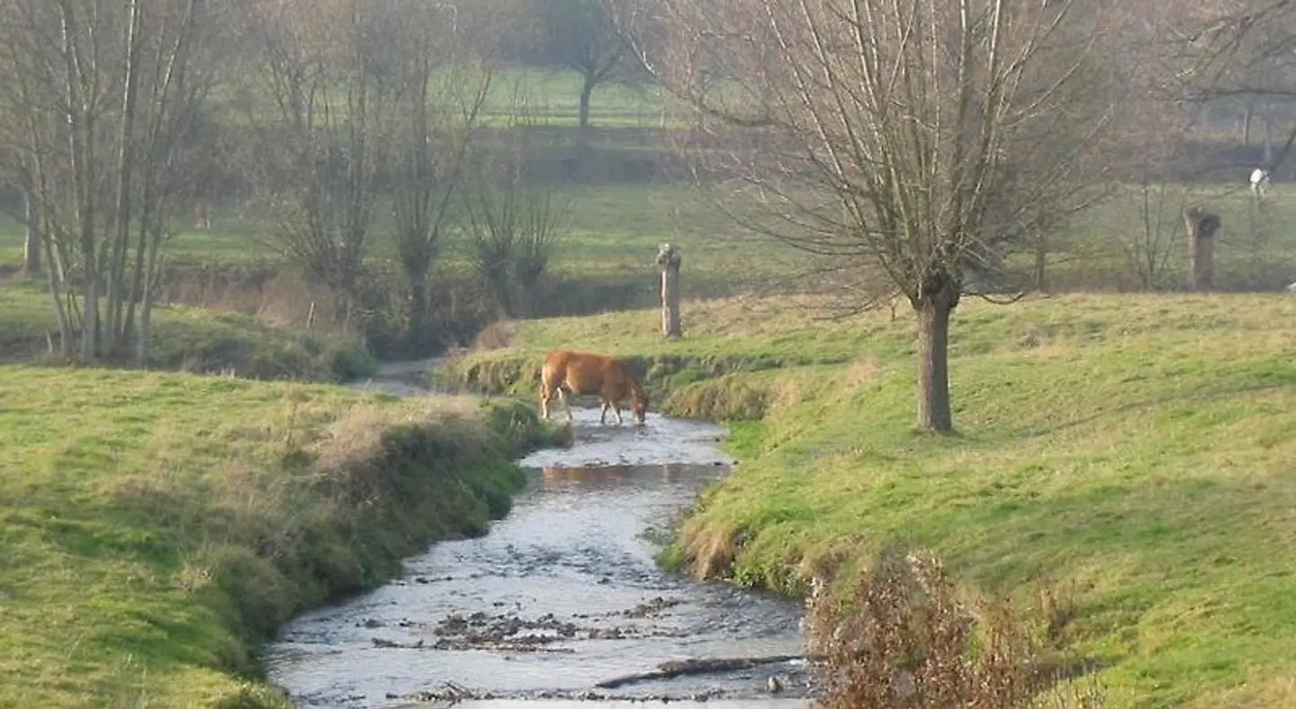 Kreutzer LANDSCAPE