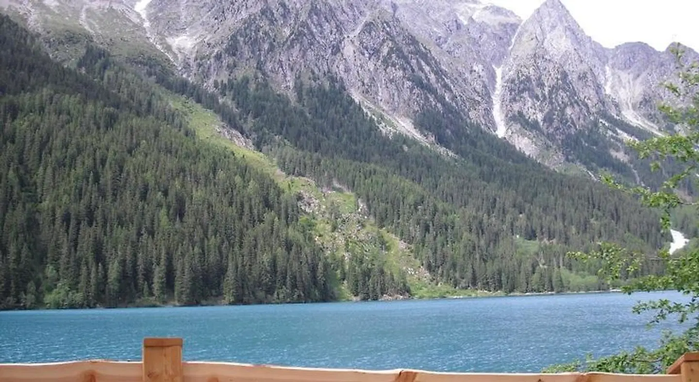 Friedemann LANDSCAPE