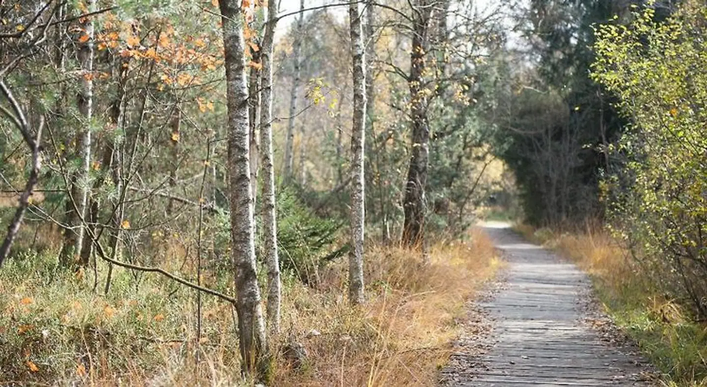 Gasthof Adler LANDSCAPE