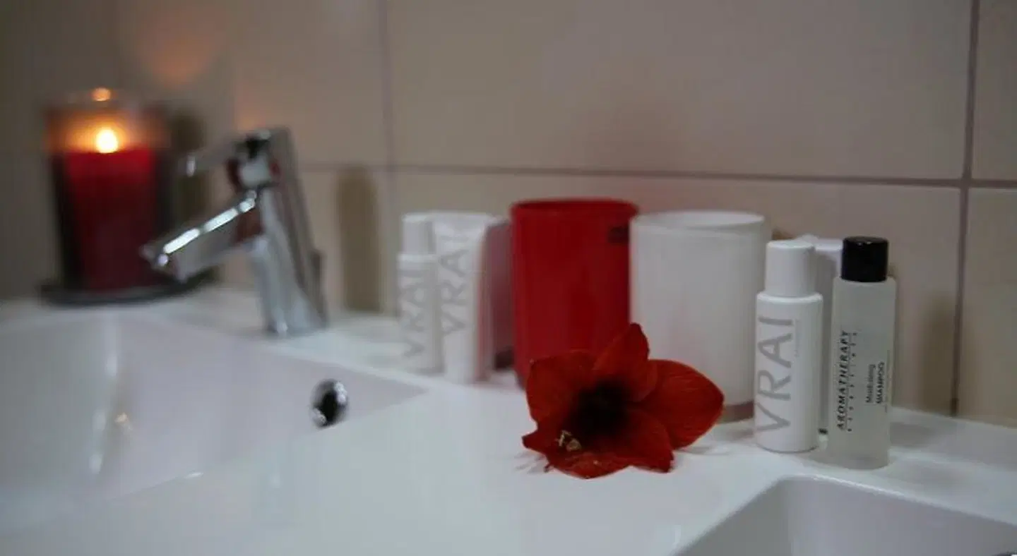 B&B Hippo-Droom ROOM_EXAMPLE