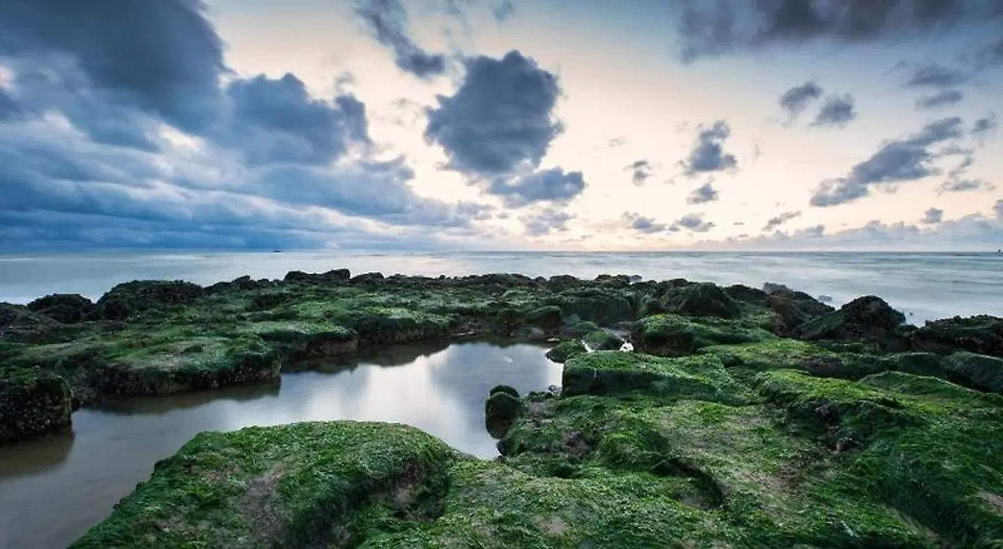 De Hofkamers LANDSCAPE