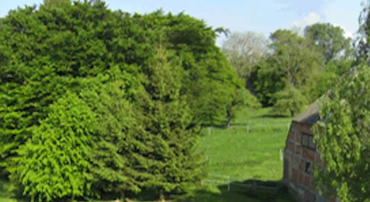 Landhotel Gut Zarrentin LANDSCAPE
