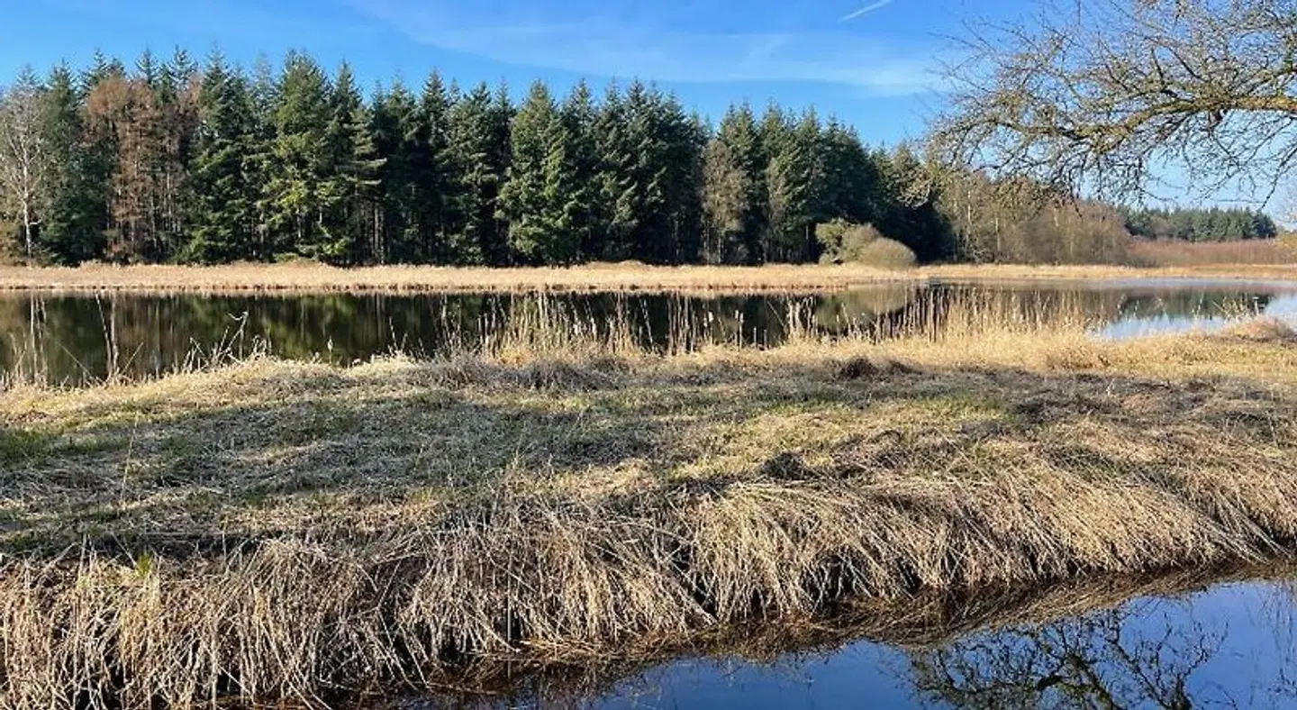 Landhotel Witte-König Tiere