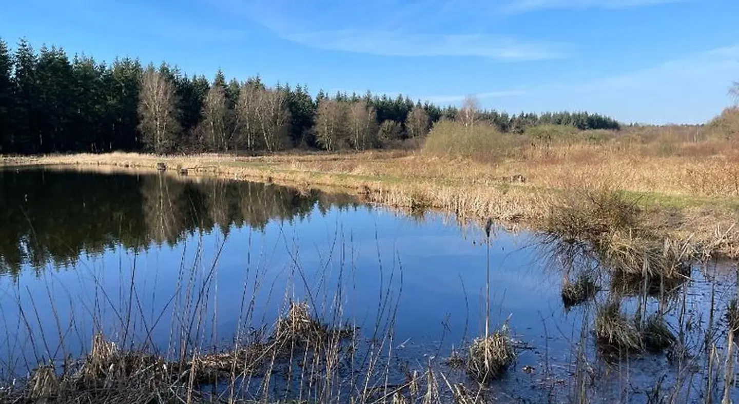 Landhotel Witte-König LANDSCAPE