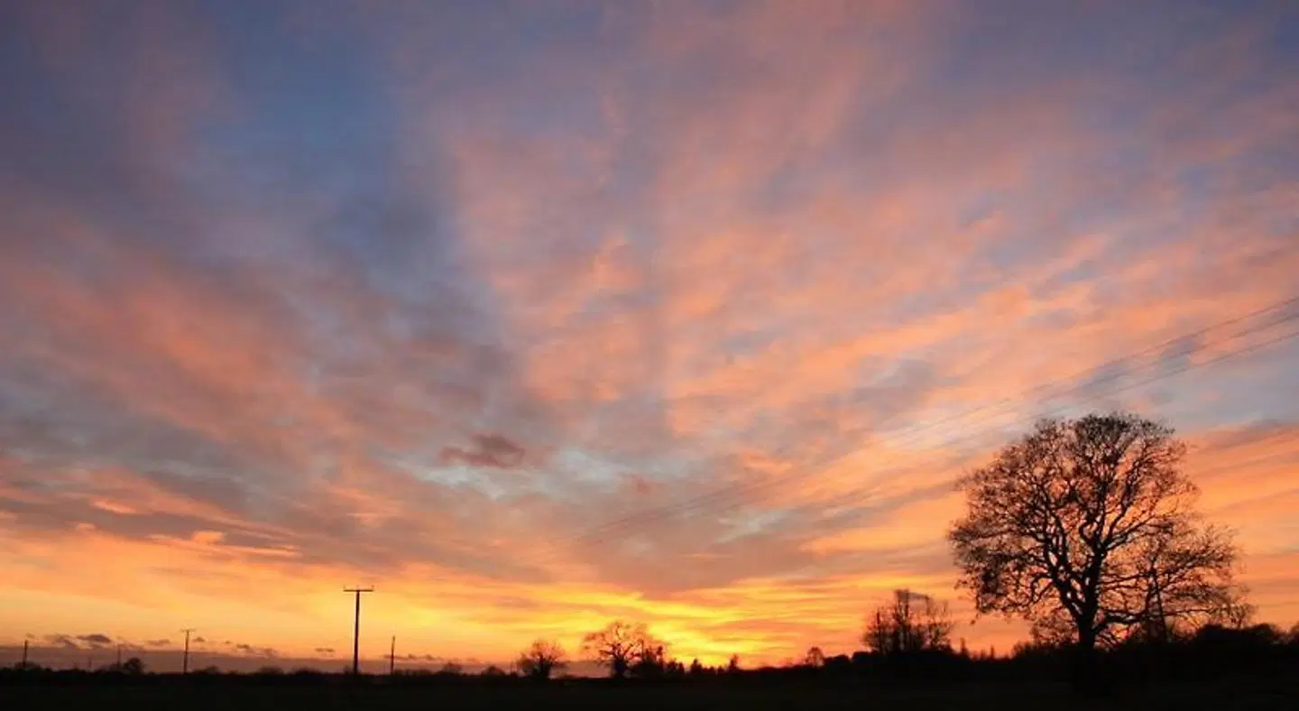 Puttocks Farm LANDSCAPE