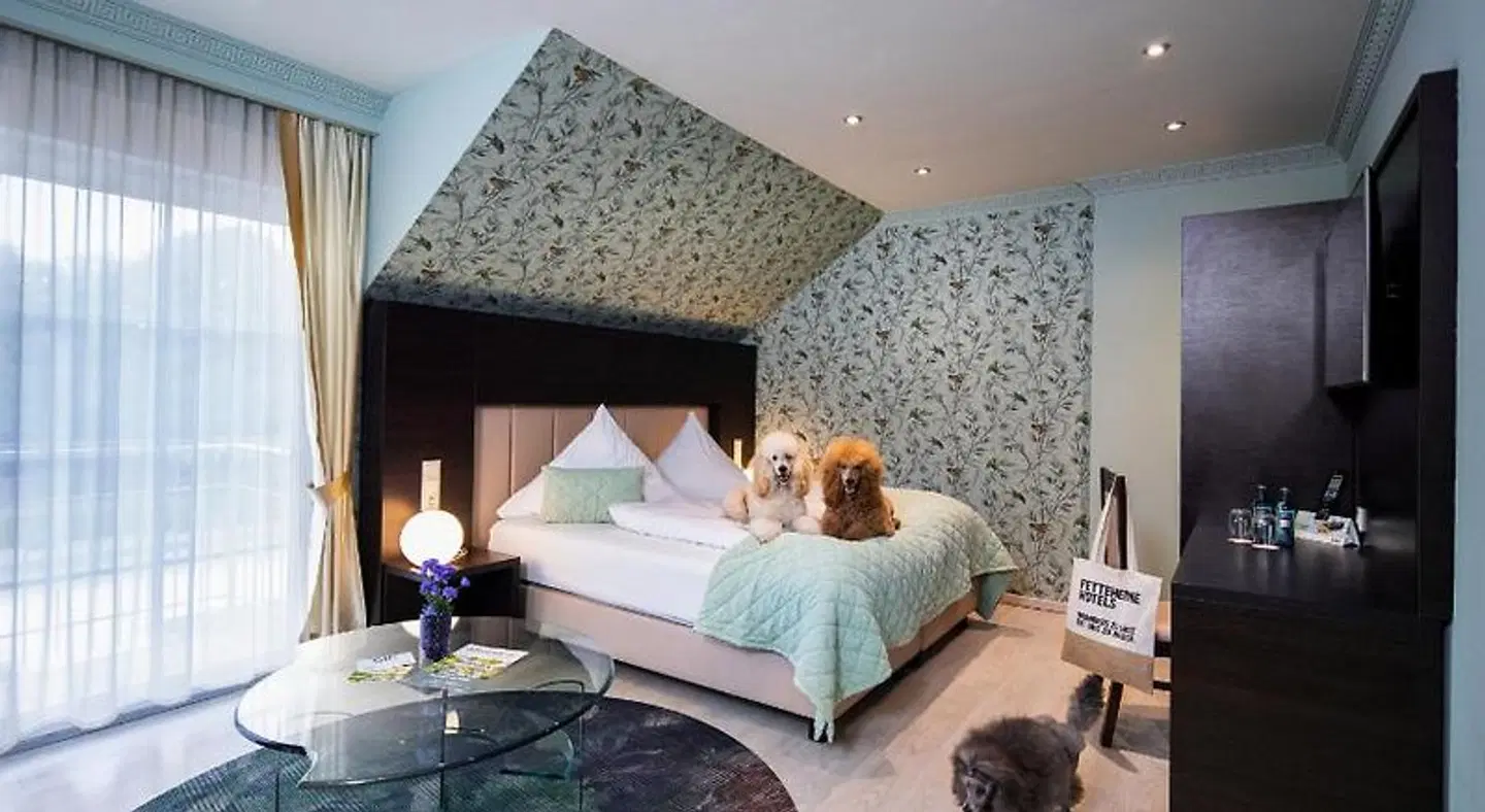 Kristallhotel Fettehenne ROOM_EXAMPLE