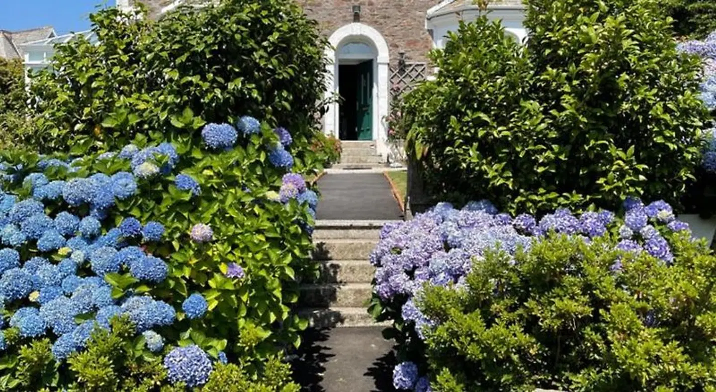 Ivy House Cornwall B&B Garten