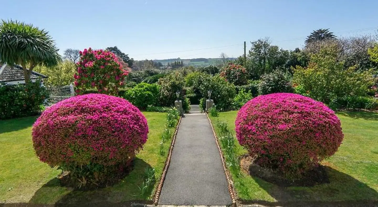 Ivy House Cornwall B&B Garten