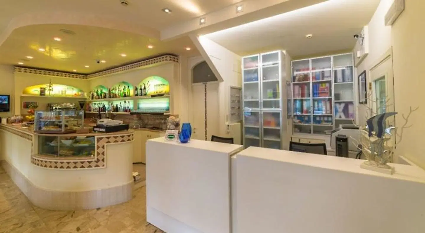 Hotel Airone Bar