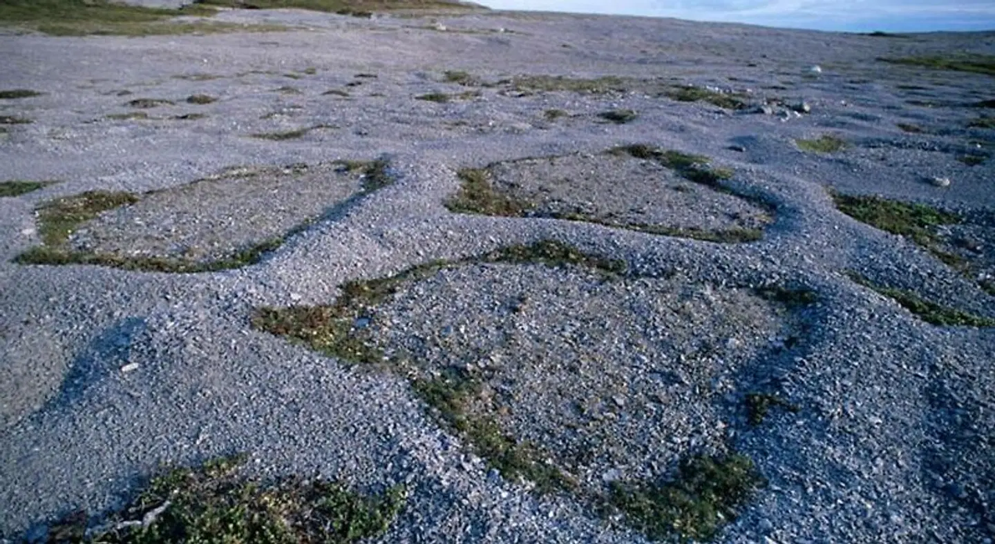 Burnt Cape Cabins LANDSCAPE