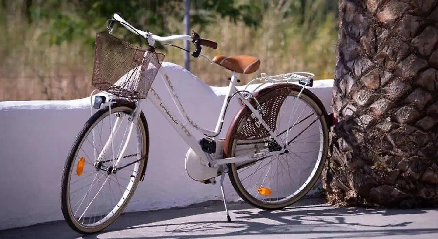 Acapus Studios Sport und Entertainment