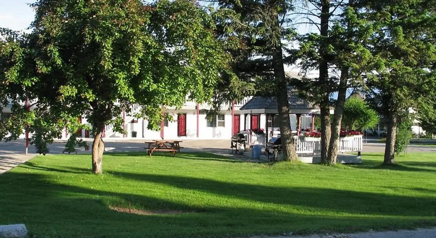 Mountain Springs Motel Garten