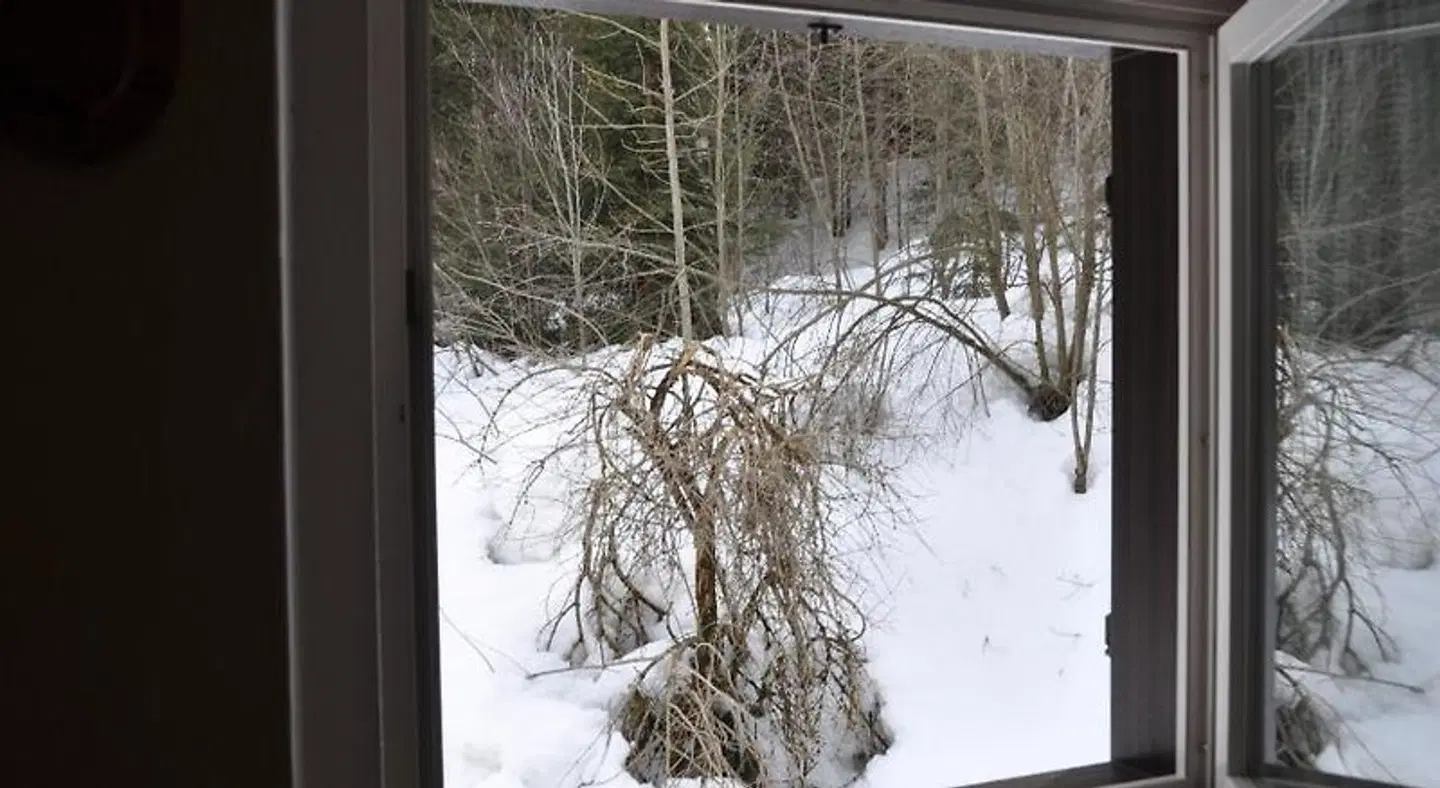 Casa Alpina Dobbiaco Tiere