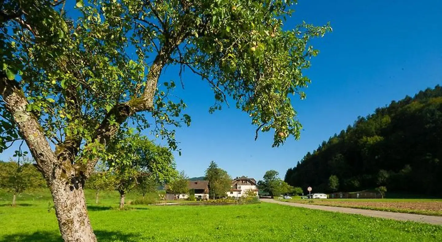 Kinzigstrand Garten