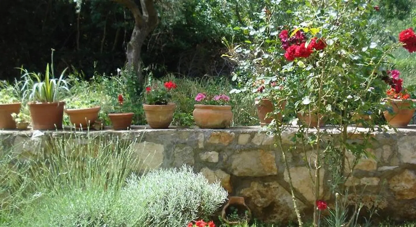 Apartment Premantura Garten