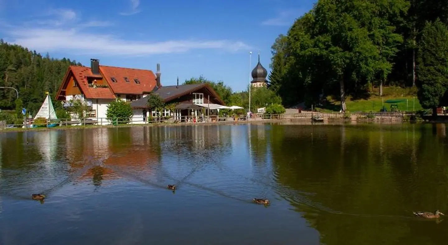 Bergsee Stüble LANDSCAPE