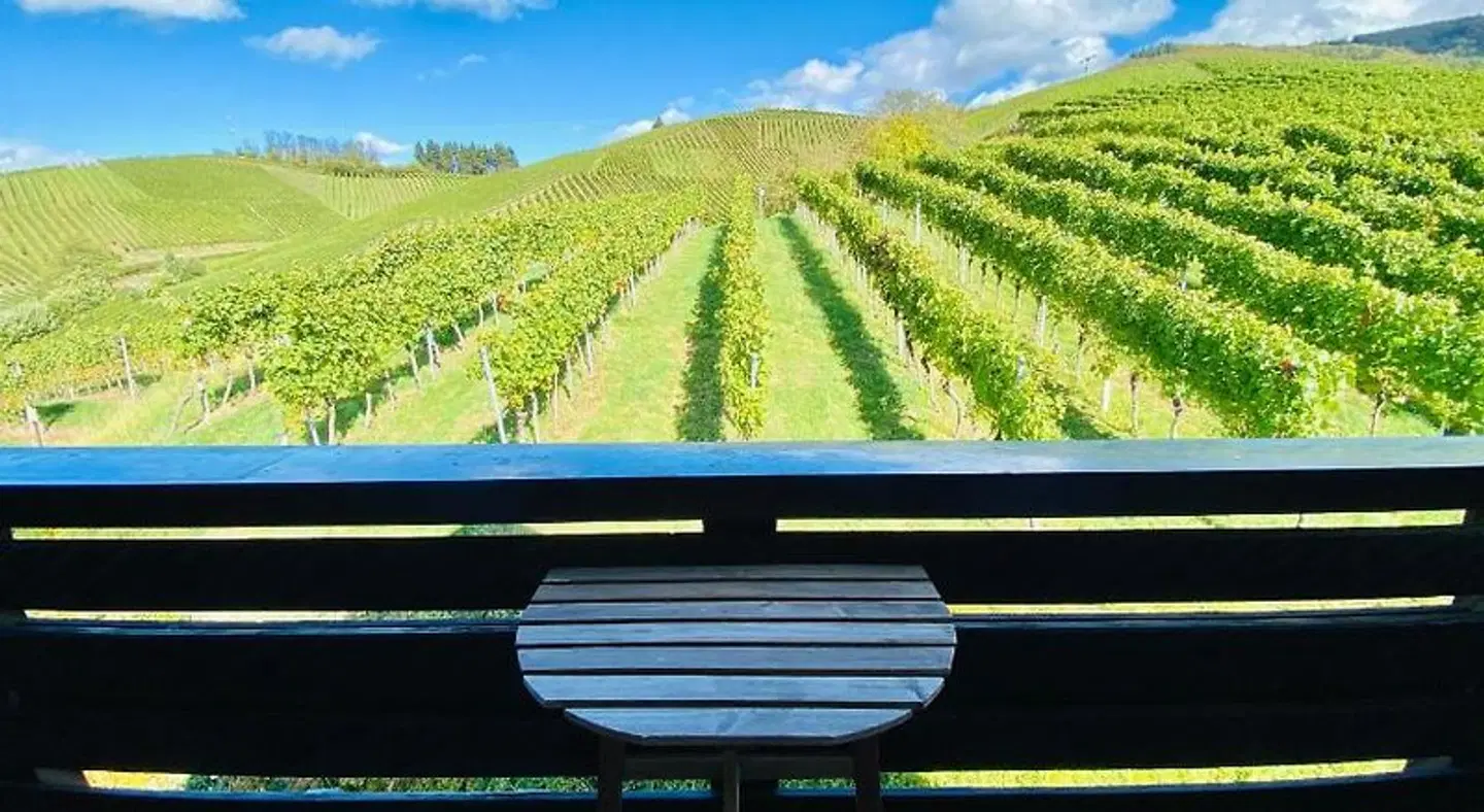Am Weinberg LANDSCAPE