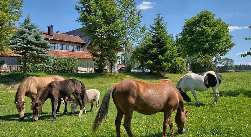 Schwanen – Hotelfoto