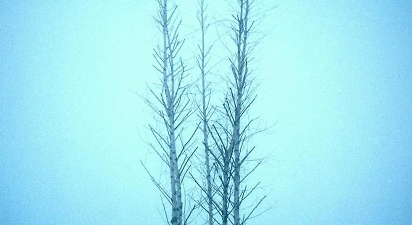 Lynhams LANDSCAPE