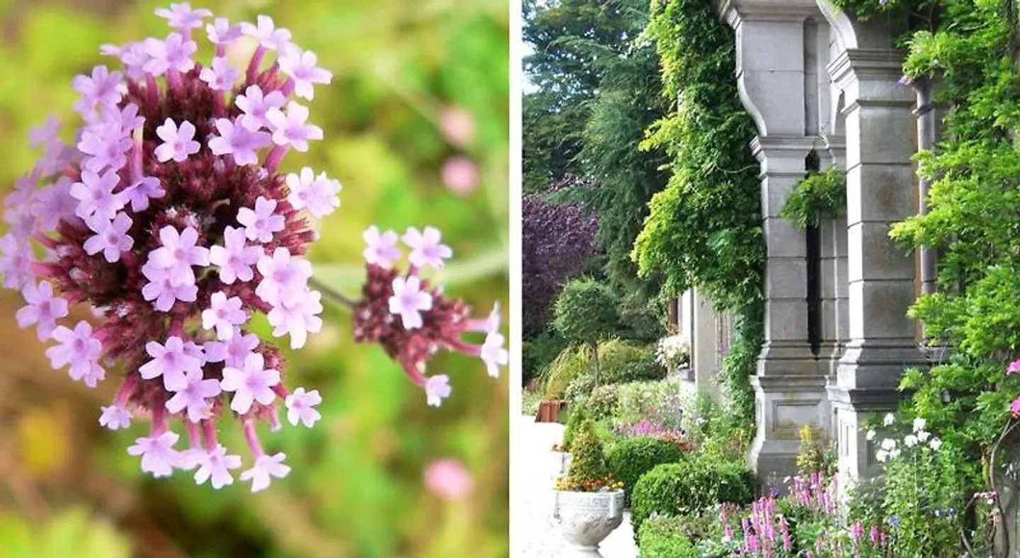 Tinakilly Country Garten
