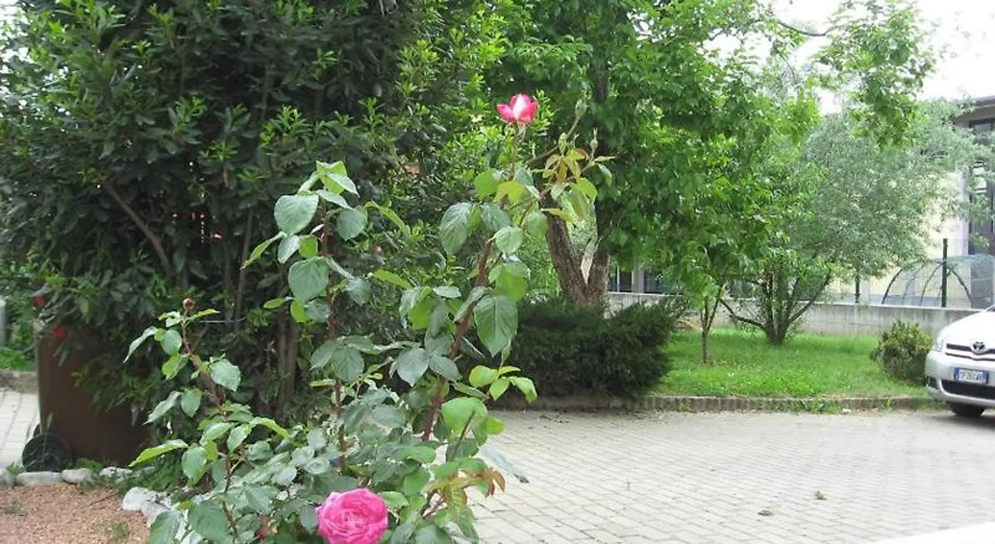 Casa Bruno Garten